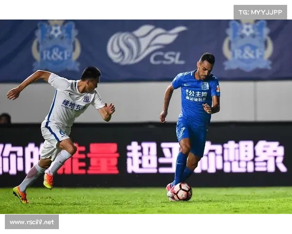 揭秘扎哈维退役背后的故事与深层思考解析